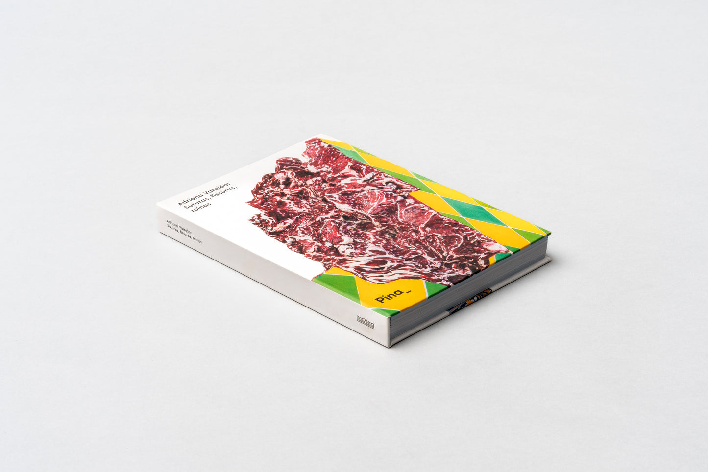 Adriana Varejão: Sutures, fissures, ruins