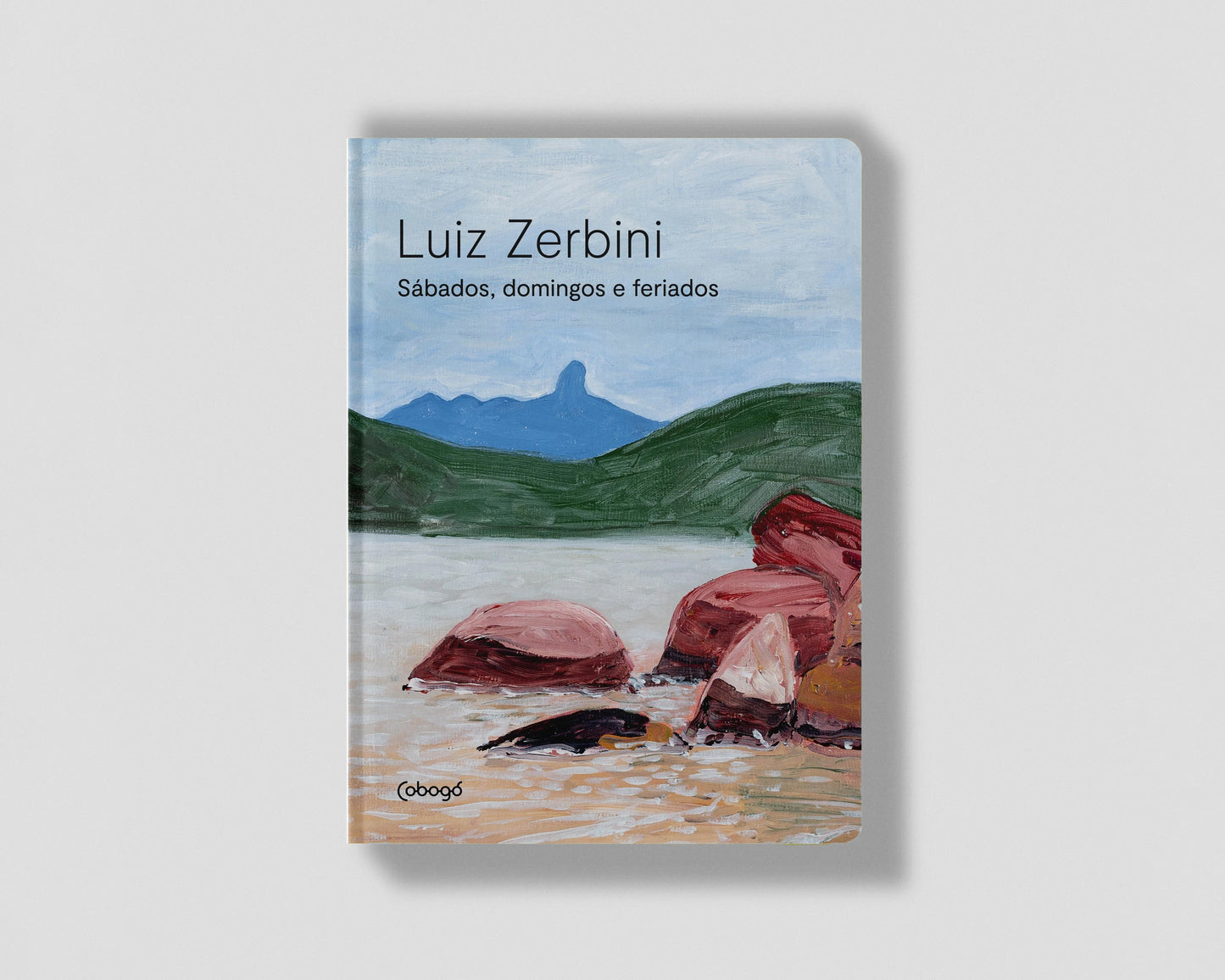 Luiz Zerbini: Sábados, domingos e feriados