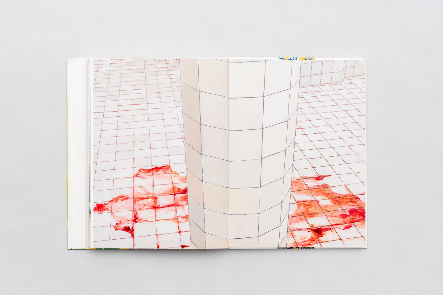 Adriana Varejão: Sutures, fissures, ruins